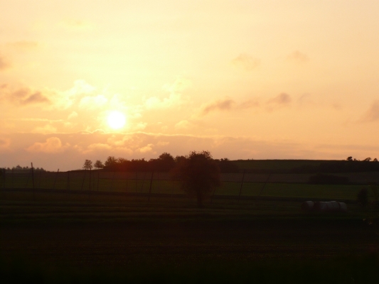 Images/Sonne_ (24).jpg